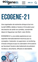 e21-mobile.jpg
